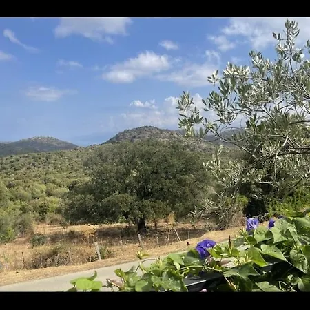 Hébergement de vacances U Granu Di Bellezza Casta