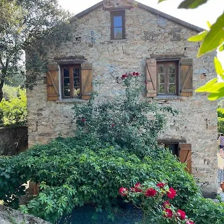 Hébergement de vacances U Granu Di Bellezza